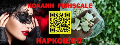 мет Кингисепп