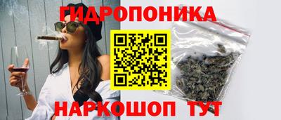 мет Кингисепп